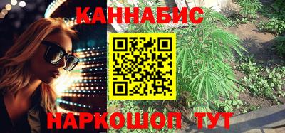 трава Кингисепп