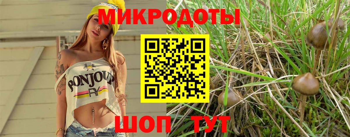 Галлюциногенные грибы Psilocybe  Псилоцибиновые грибы мицелий  Салехард  Вход с VPN 